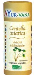 Centella Asiatica BIO, 60 gélules - AYUR VANA