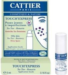 Touch'Express Concentré Actif BIO CATTIER