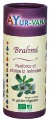 Brahmi BIO, 60 gélules Ayur Vana