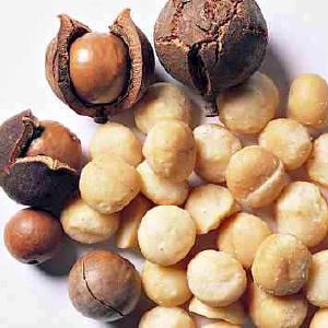 Noix de Macadamia