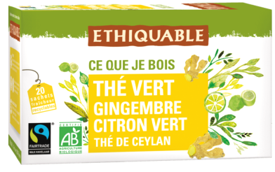 Thé vert - Gingembre - Citron vert, infusettes BIO