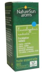 Huile Essentielle d'Eucalyptus Radiata BIO