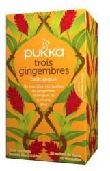 Infusion Trois gingembre BIO - PUKKA 